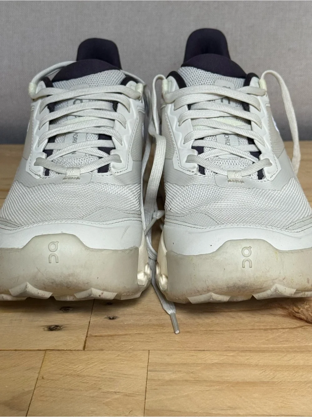 ON Cloudhorizon 2 Women size 9
